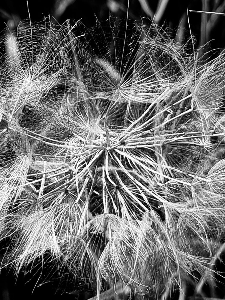 Фотография автора Evgeniya KHOKHLOVA