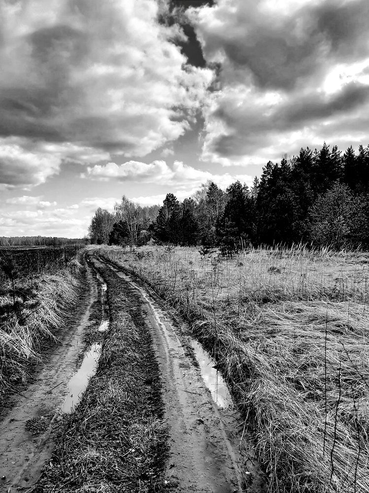 Photograph by Марина Слепова