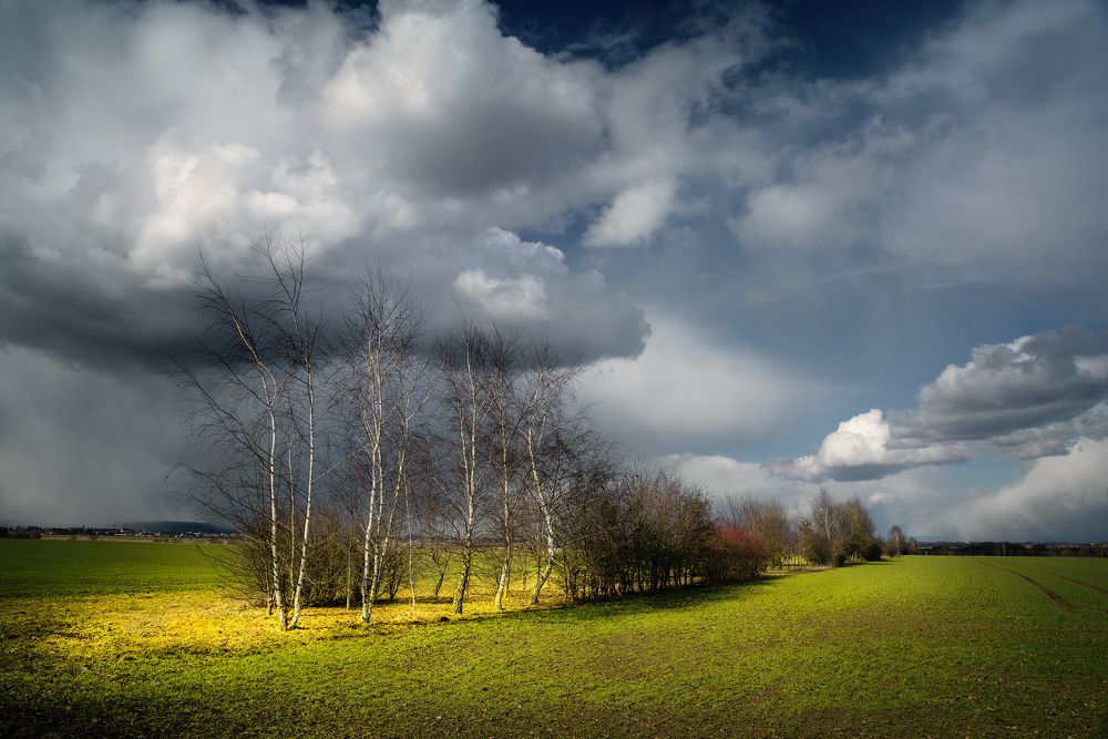 Photograph by Zanfoar