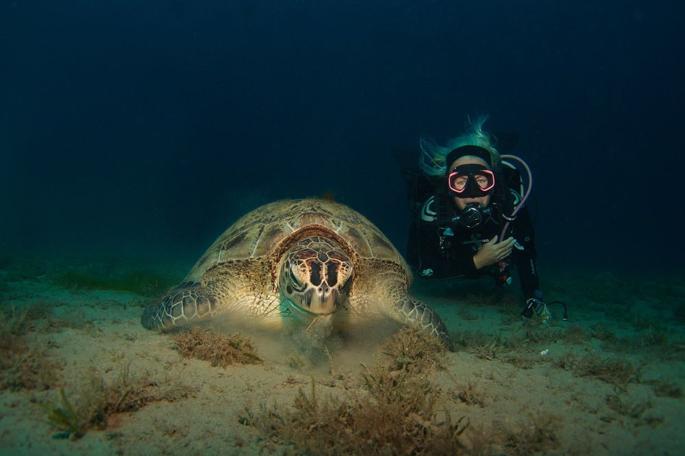 Фотография автора Владимир Чубенко