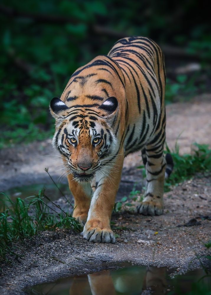 Photograph by Onkar Bedre