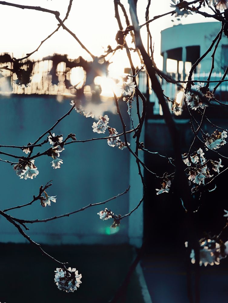 Photograph by Mayon Rinsley