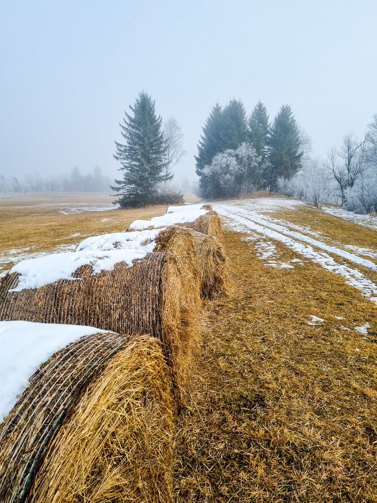 Photograph by Ksenia Tishchenko