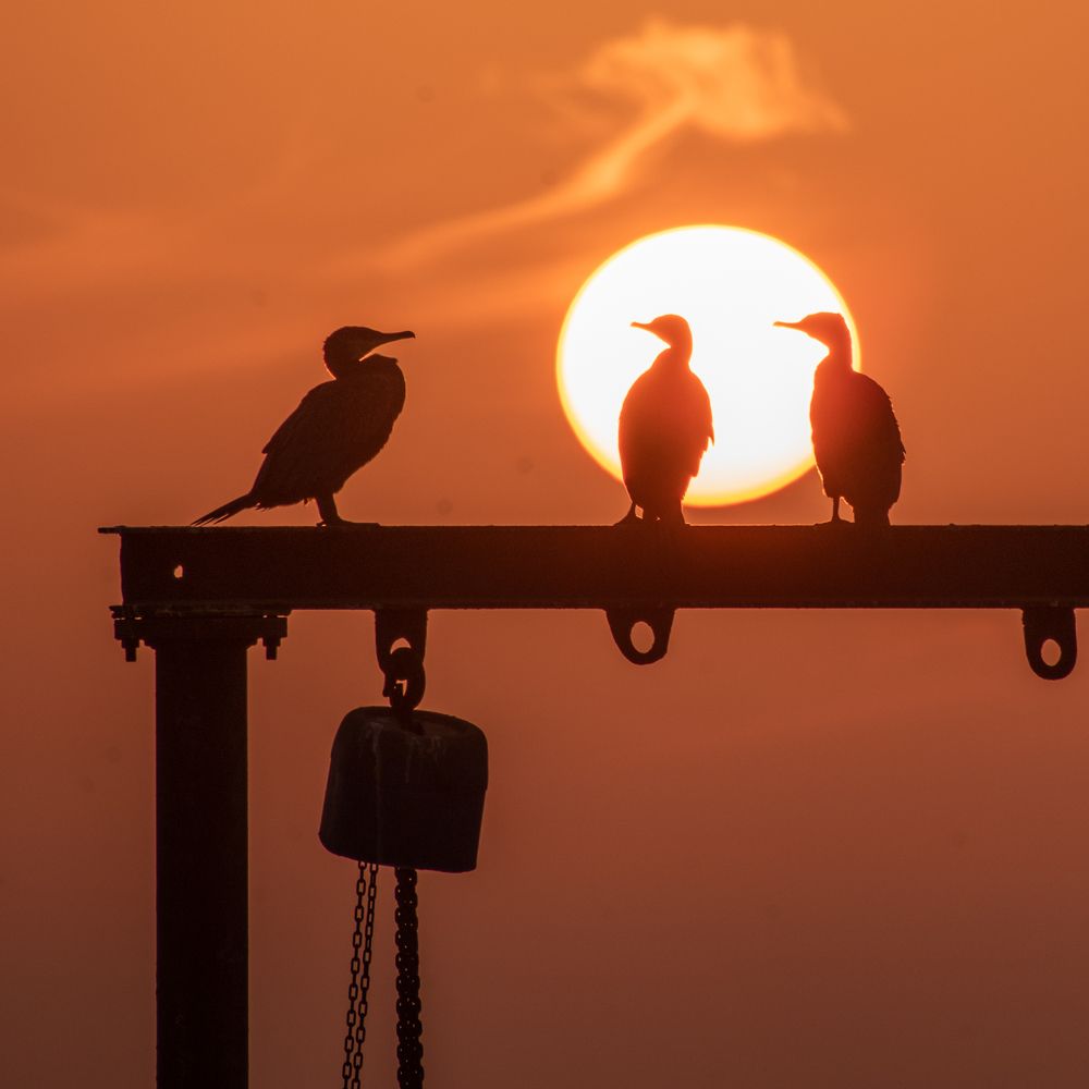 Photograph by Muhammad Hamid