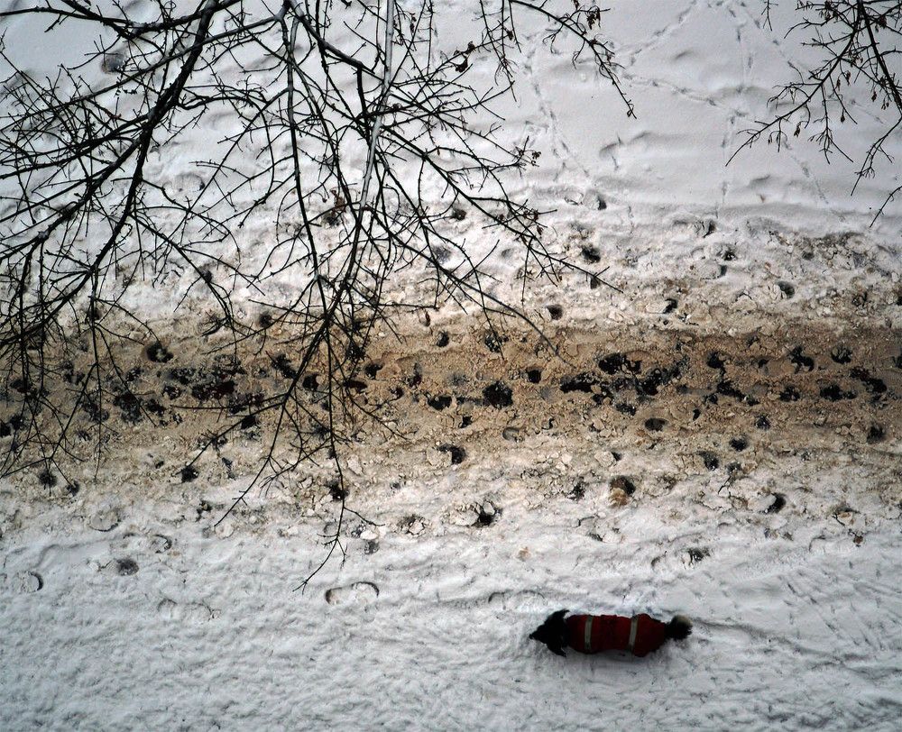 Photograph by Александр Зарх