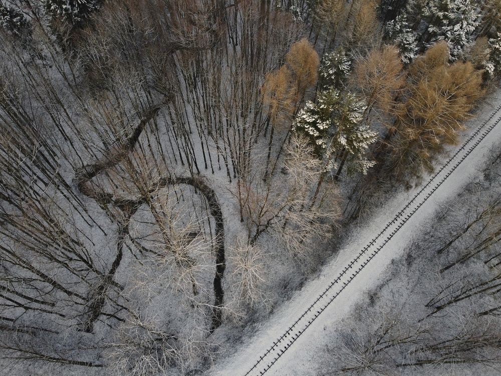 Photograph by Ilona Hromadkova