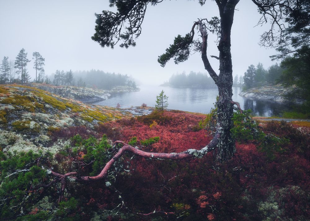 Photograph by Кононов Антон