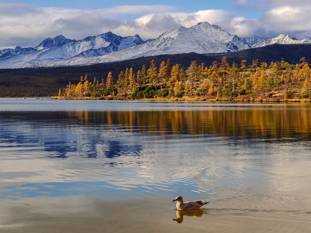 Photograph by Ольга