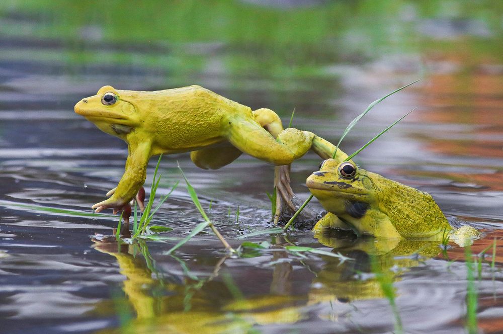 I will Never let You Go