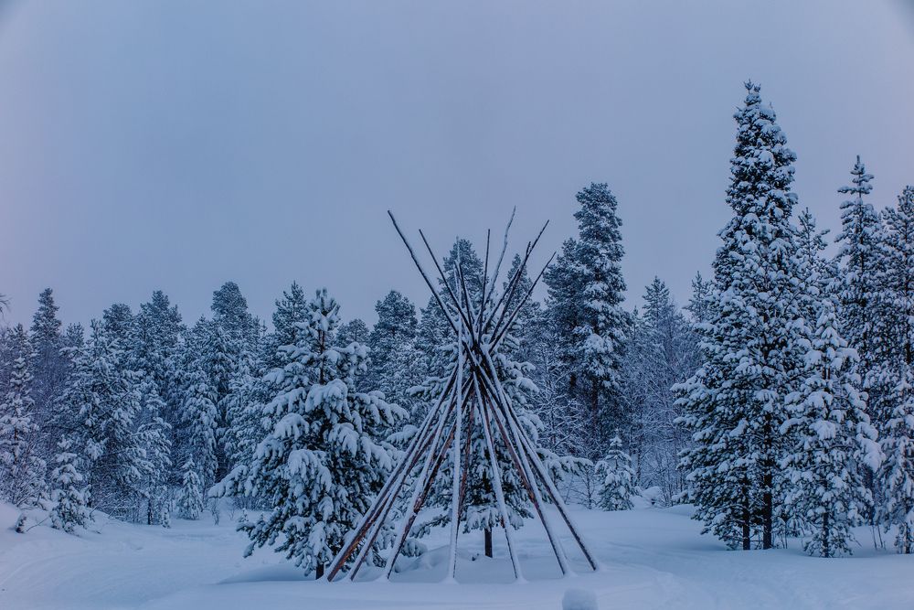 Photograph by Галина Андреева