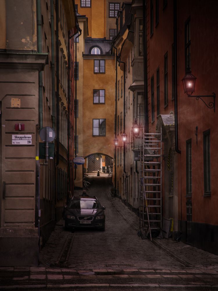 Photograph by Liudmila Drake