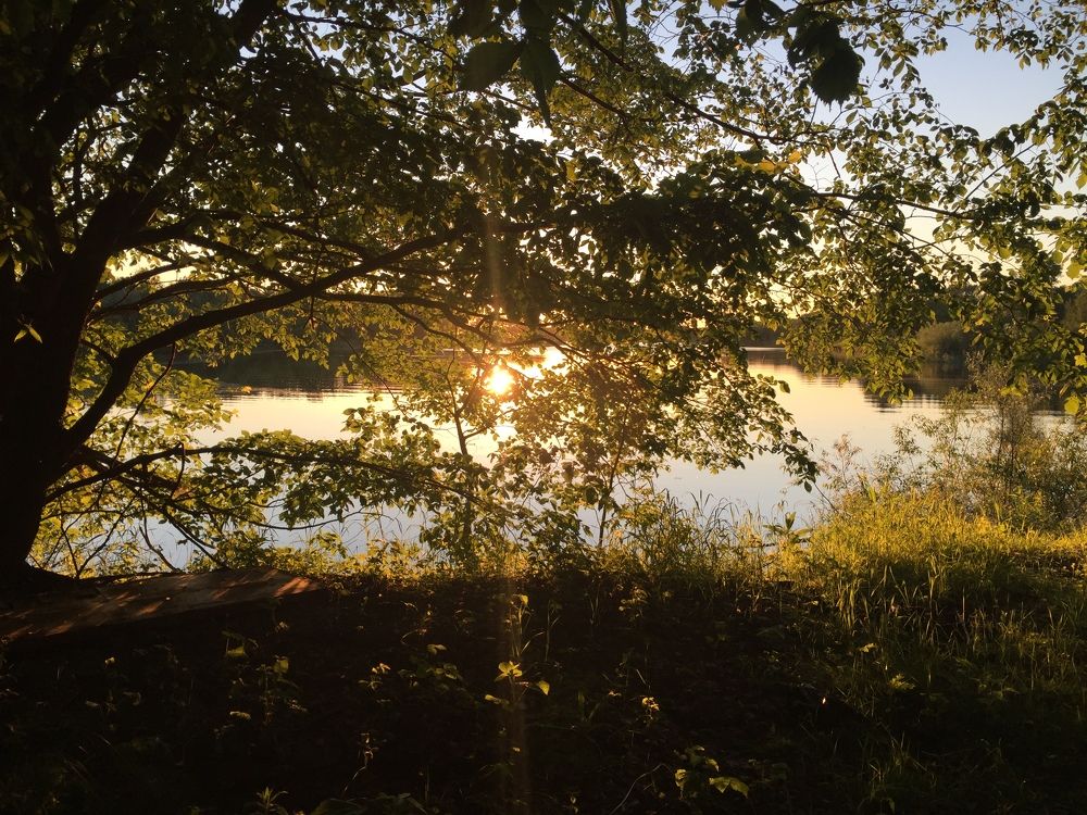 Photograph by Антон