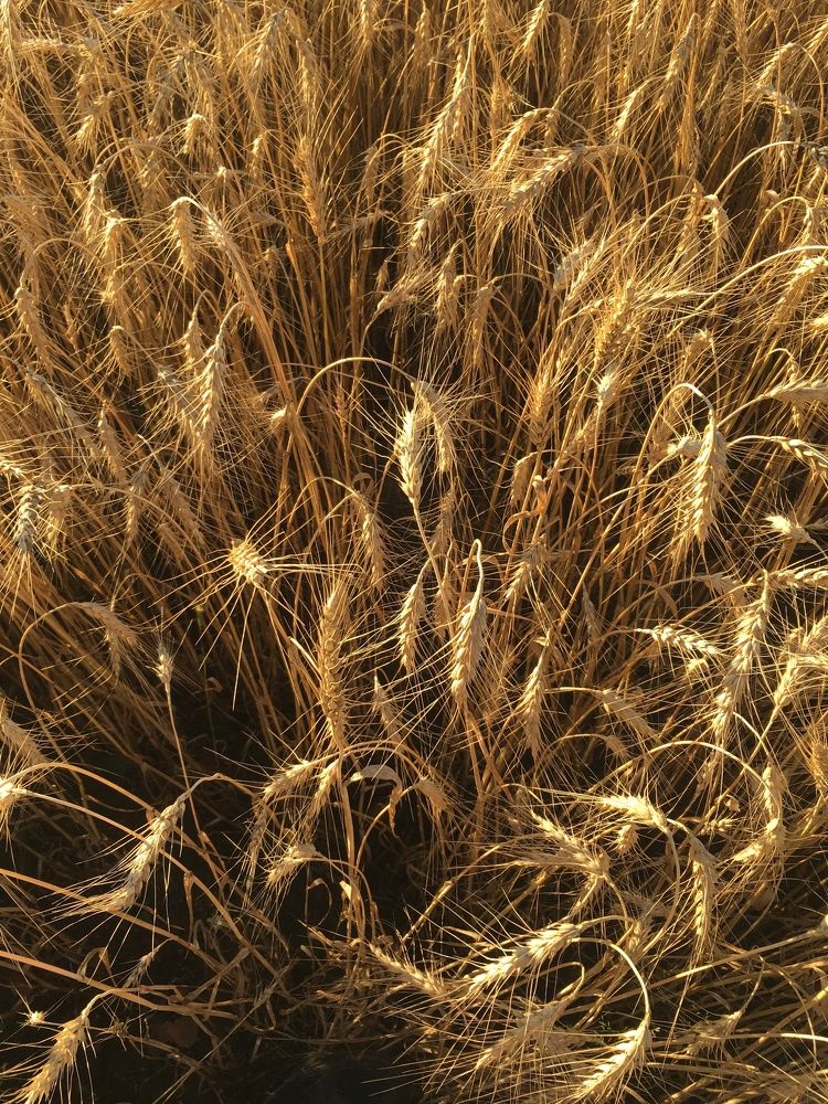 Photograph by Антон