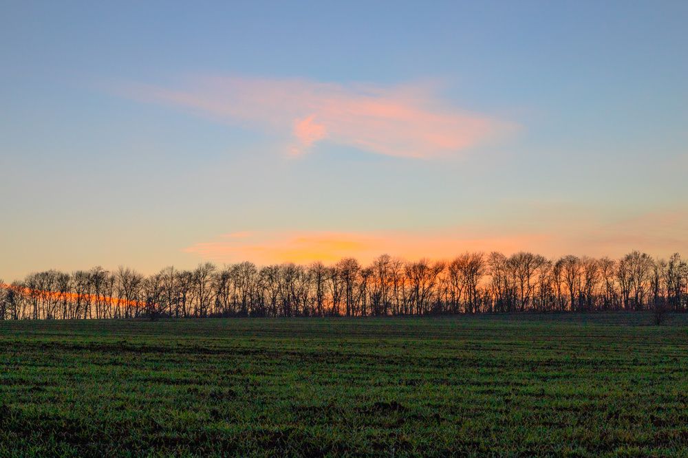 Photograph by Александра Ларинцева