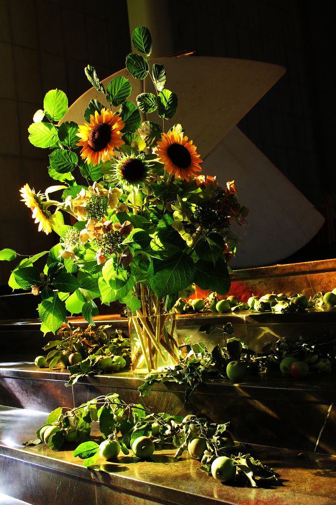 Photograph by Диана Ульянцева