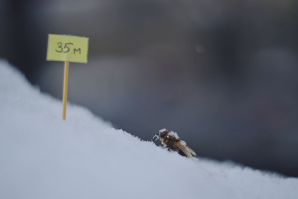 Преодолевая трудности