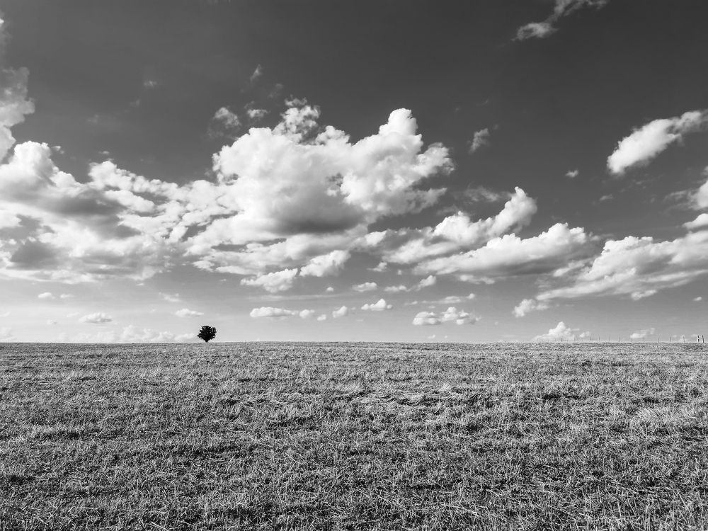 Photograph by Ульяна Рожнова