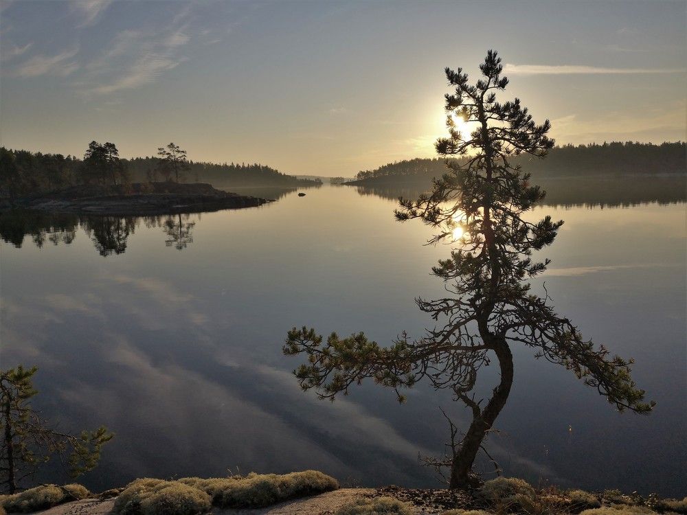 Photograph by Gromova