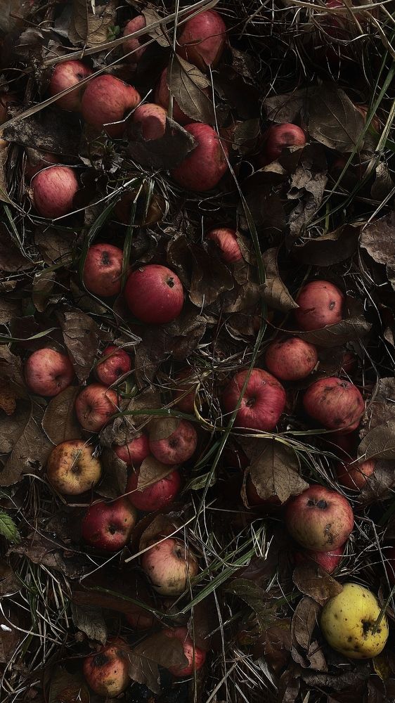 Photograph by Ольга Мурзина