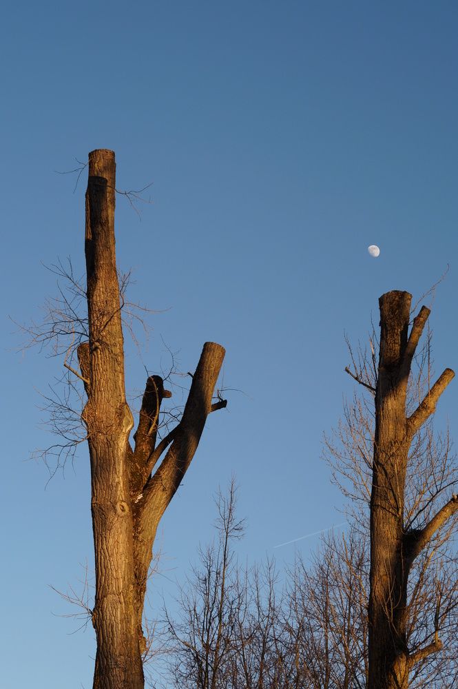 Photograph by Оксана Кобинец