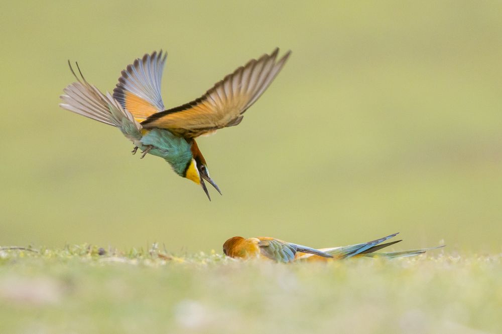 Photograph by Flora Jakab