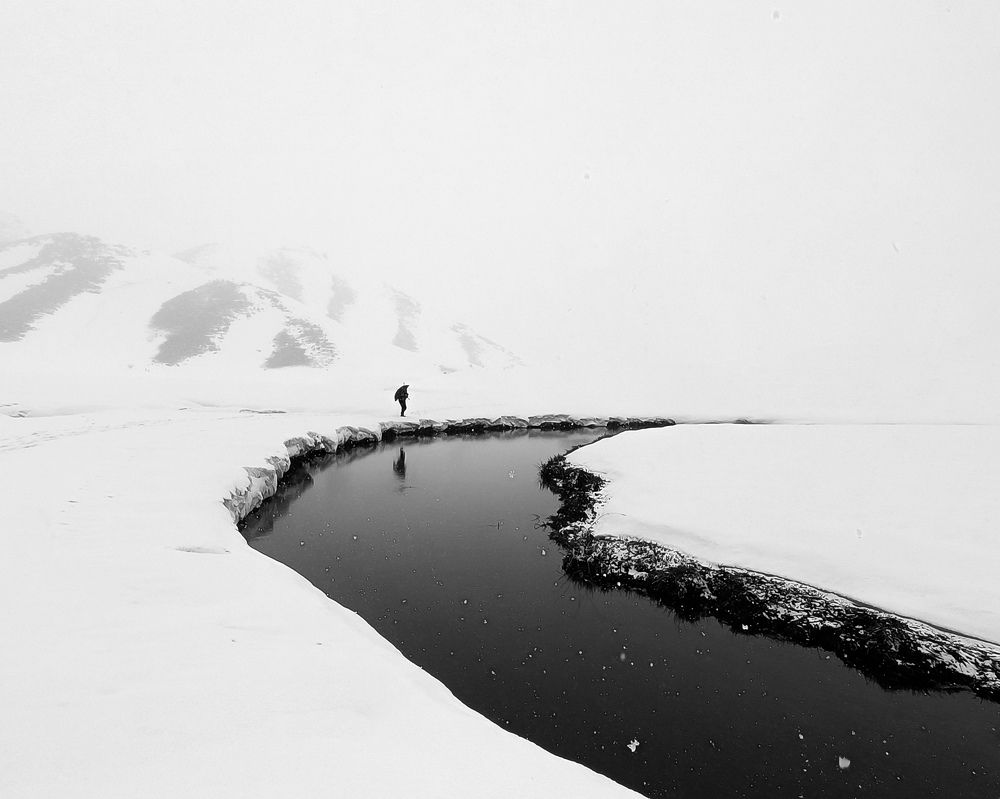 Photograph by Alipour mohammad