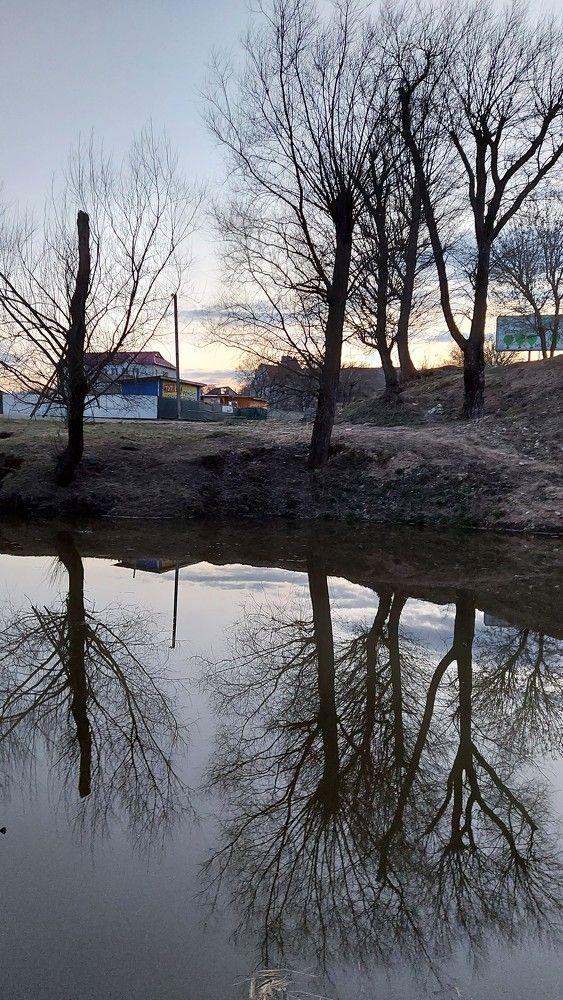 Photograph by ЭЛЬМИРА  ИСМАИЛОВА