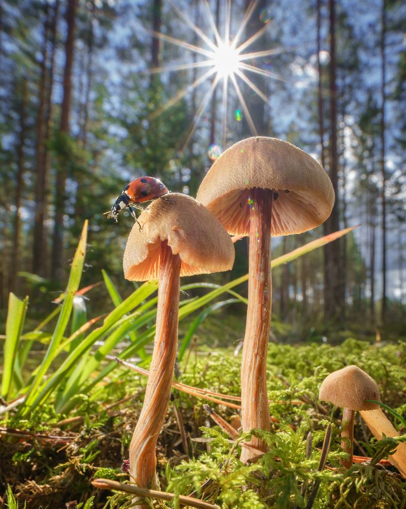 Photograph by Larianna Holm