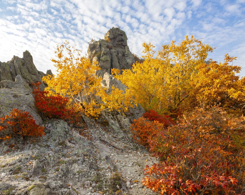 Photograph by Александра Ларинцева
