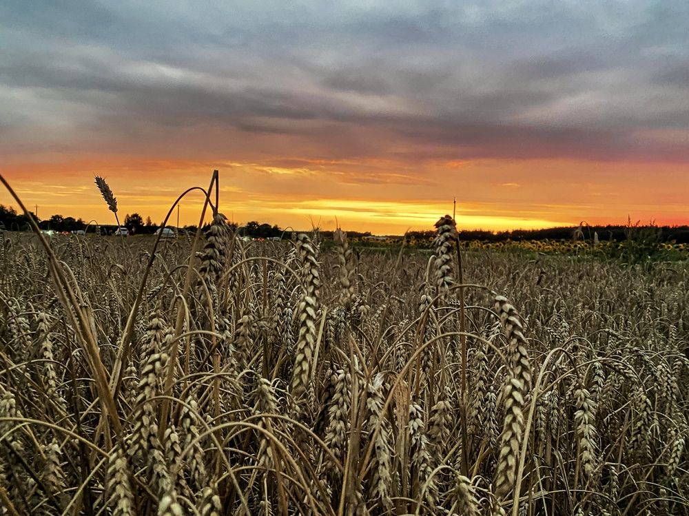 Photograph by Ольга Уласик