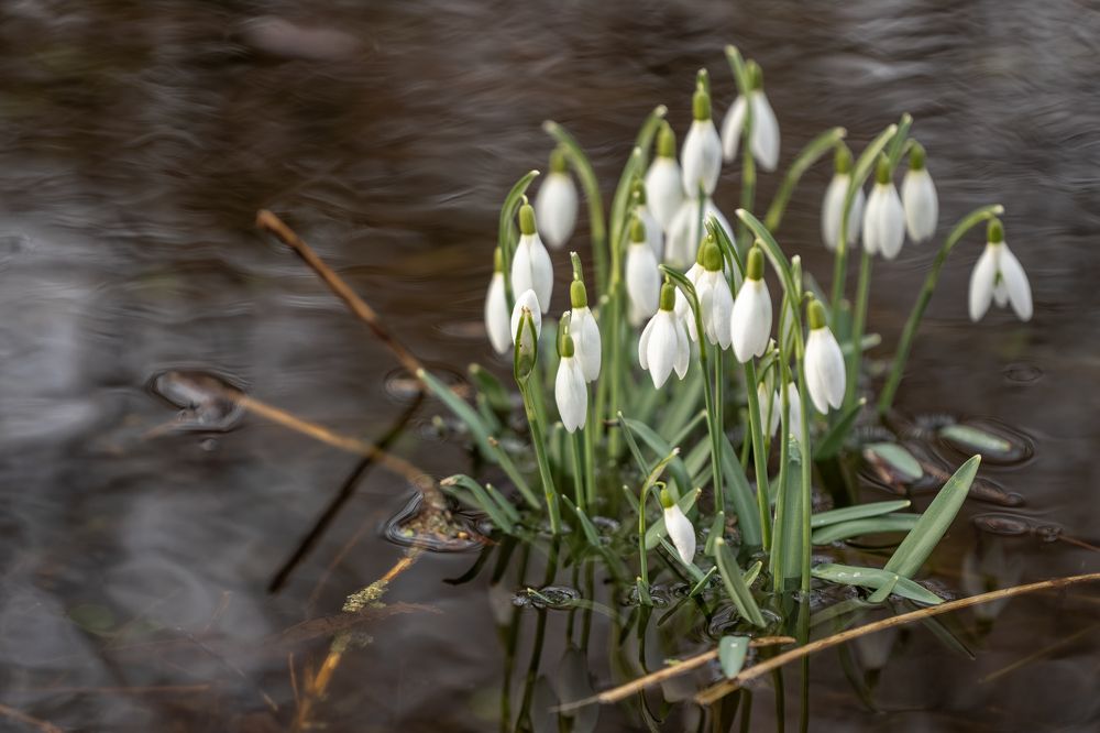Фотография автора Alexander Pakhomov