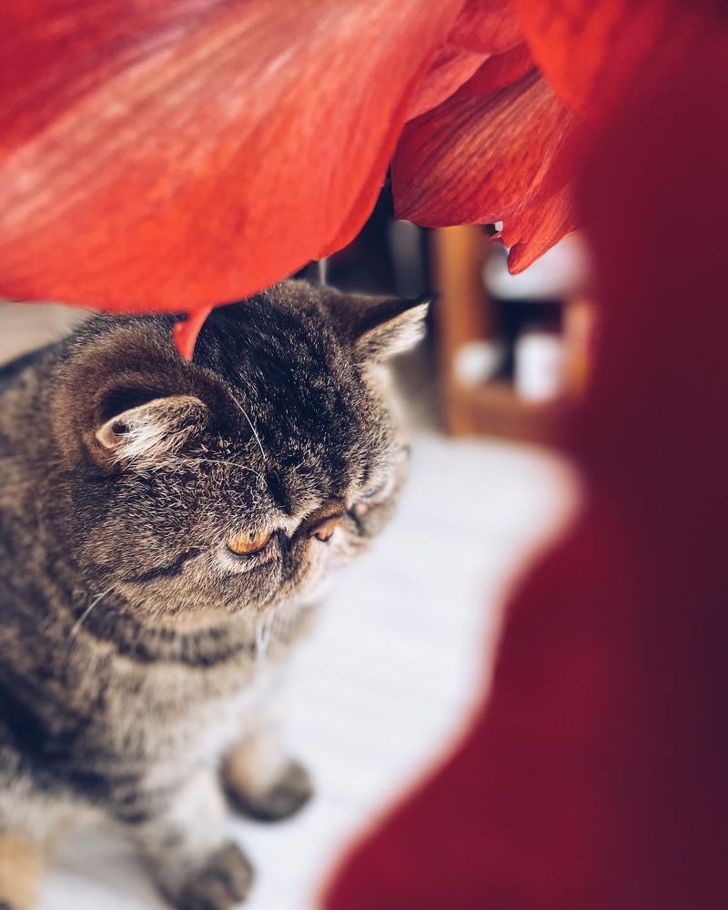 Photograph by Юлия