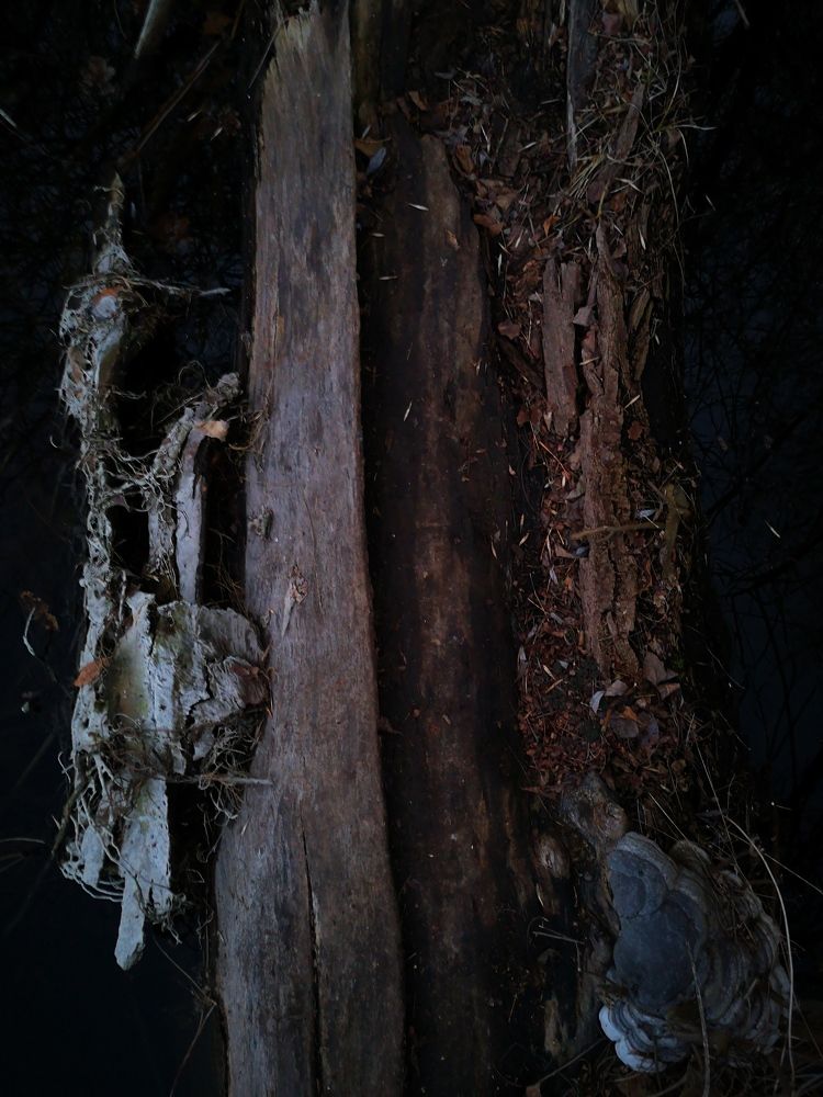 Photograph by Добренький Алексей