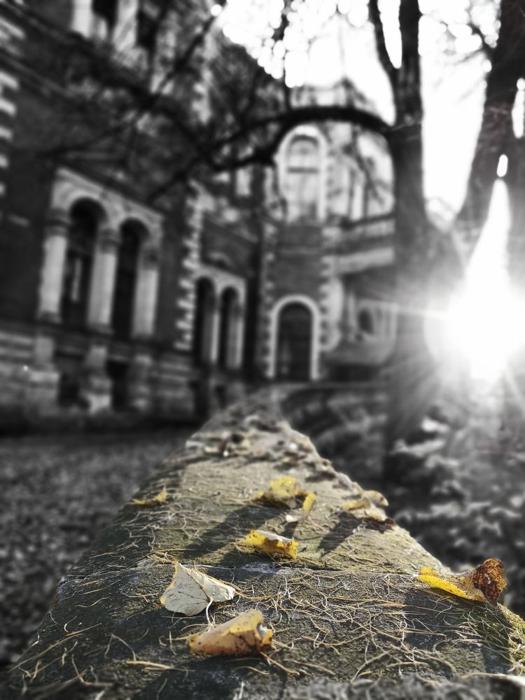 Photograph by Gromova