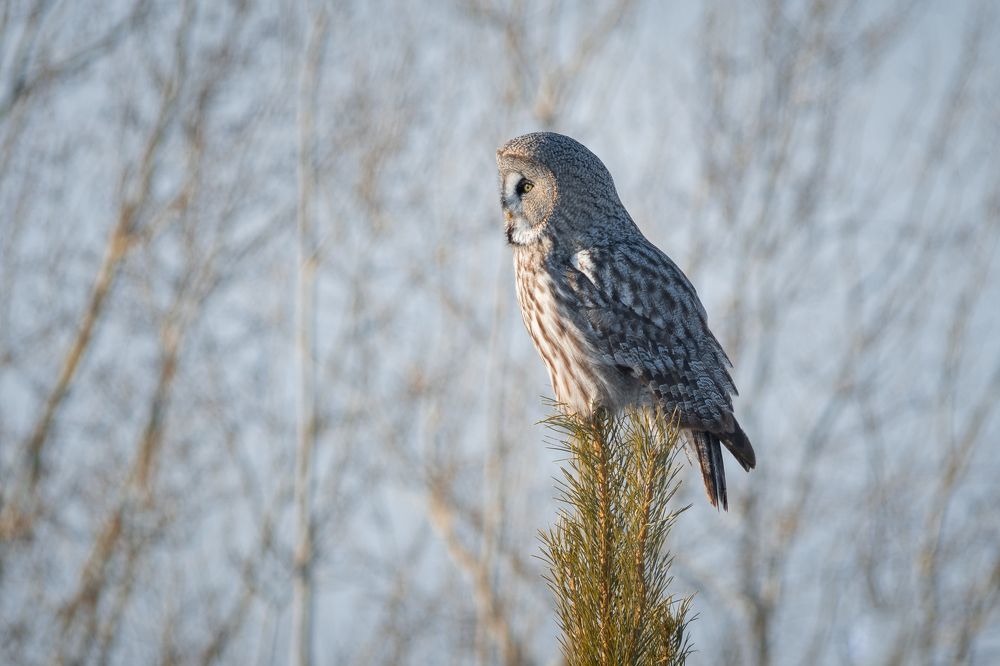 Photograph by Сергей Лебедев