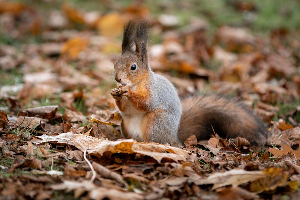 Photograph by Анастасия Петрова