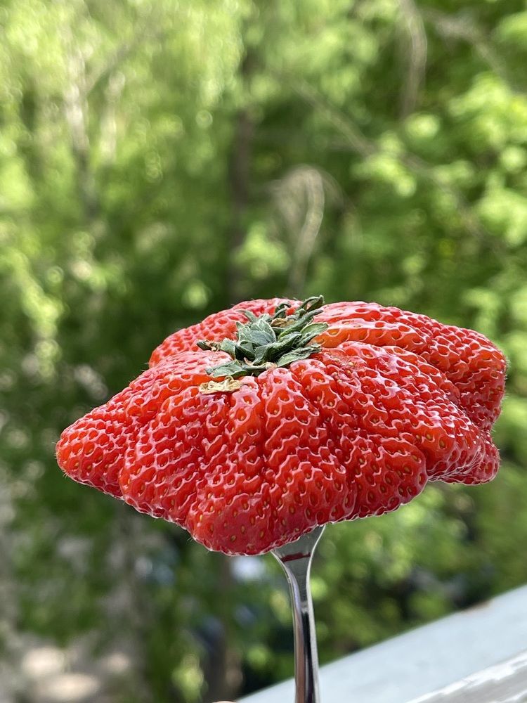 Photograph by Raisa Belova