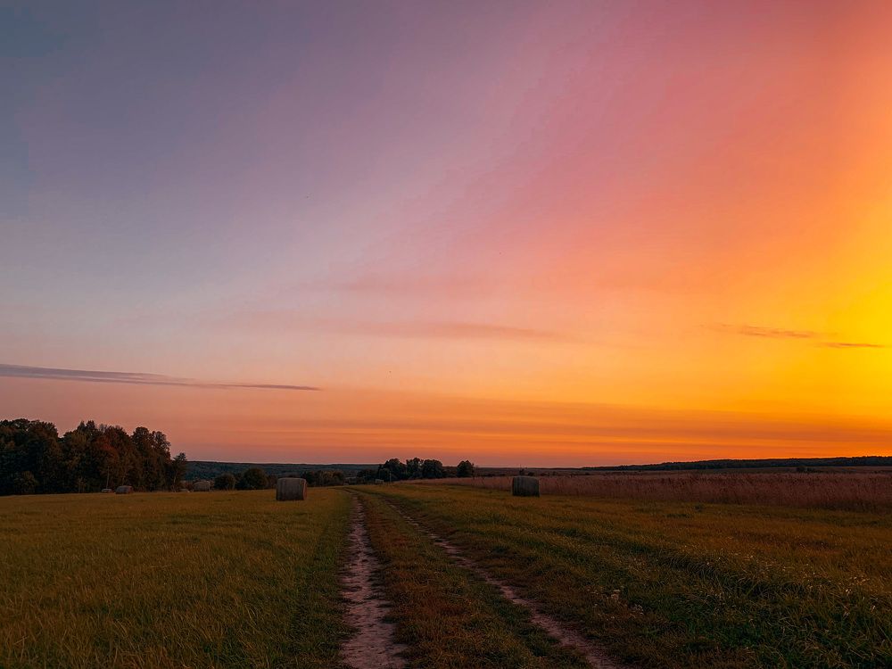 Photograph by Юлия Чиклеева