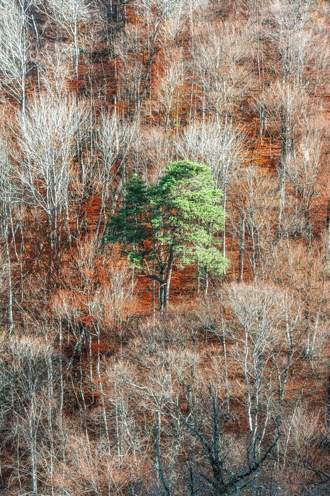 Photograph by Полякова Наталия Григорьевна