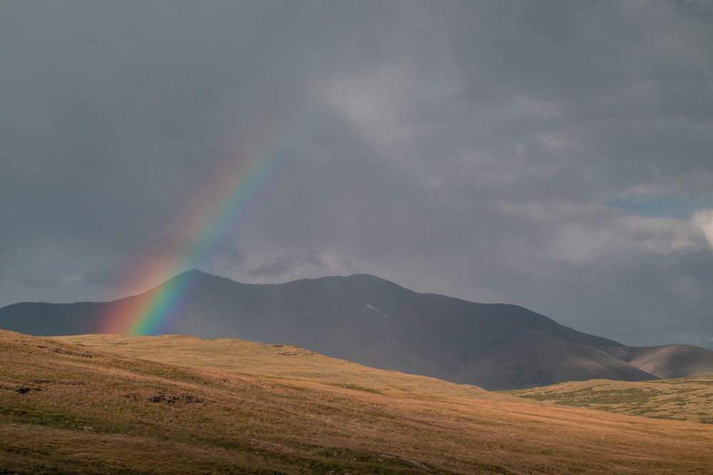Photograph by Арина Юринова
