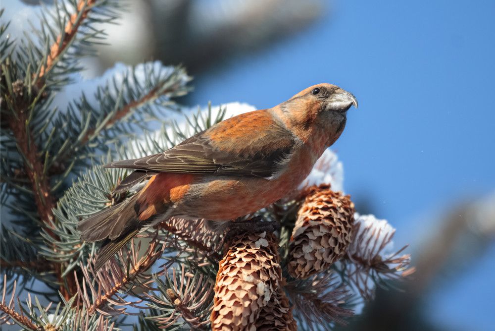 Photograph by Светлана Холодняк