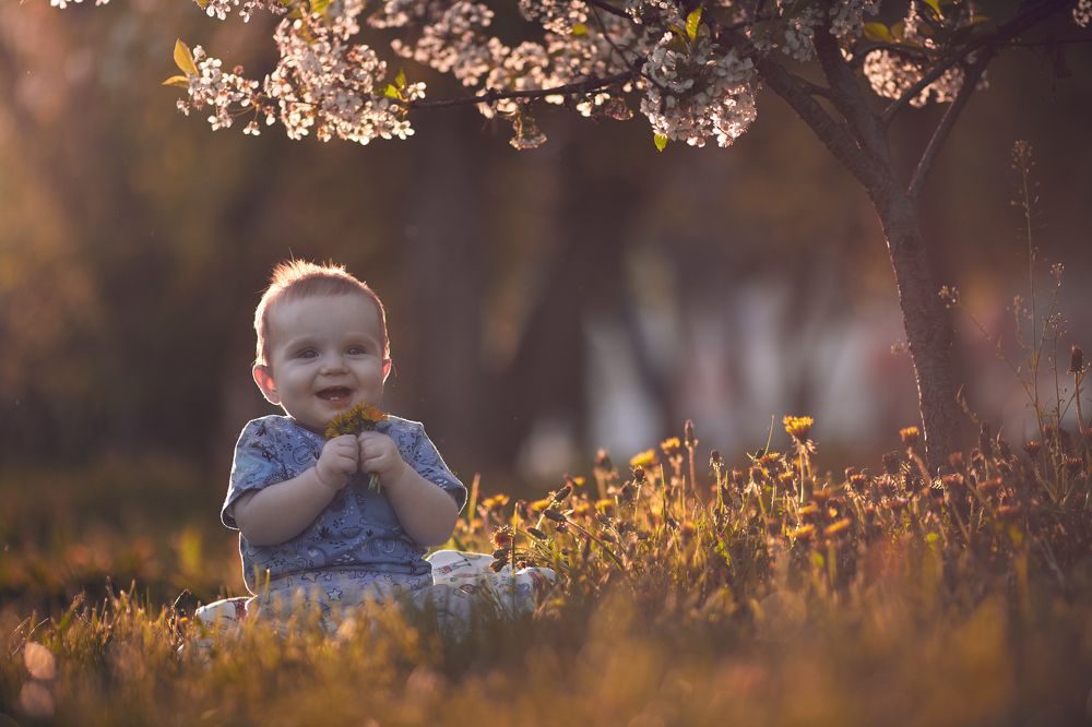Фотография автора Андрей Алдошин