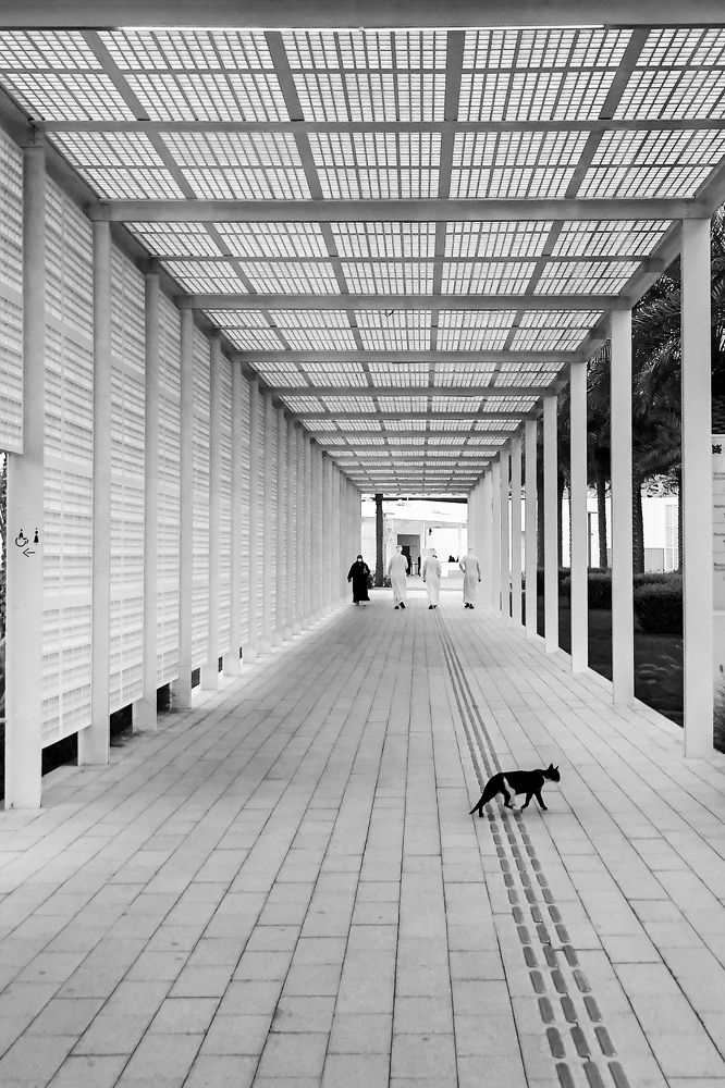 Photograph by Amar Habeeb