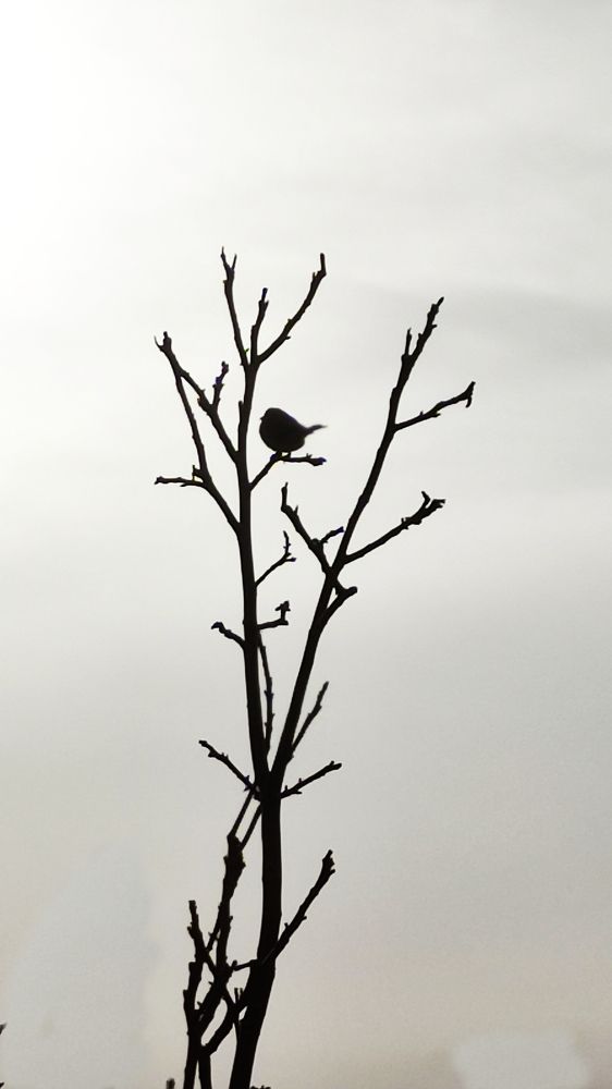 Photograph by Hajar Amir hajiloo
