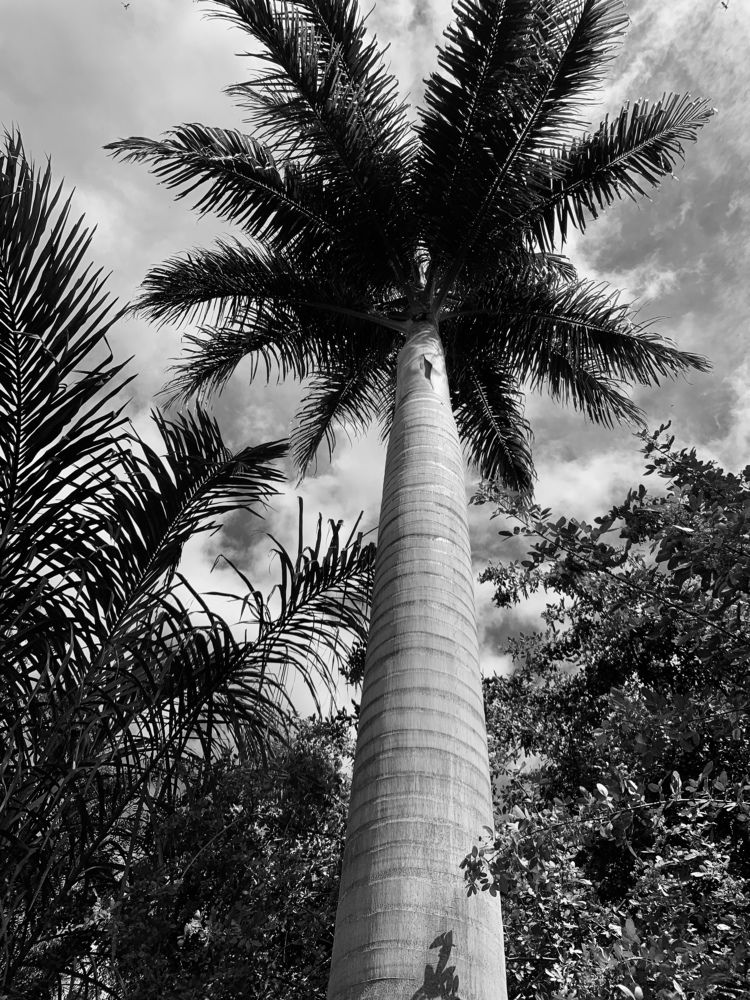 Photograph by Christine ECHEVET-ADAM de VILLIERS