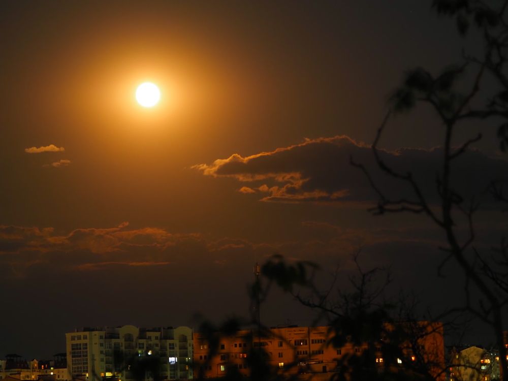 Photograph by Сергей Борисов