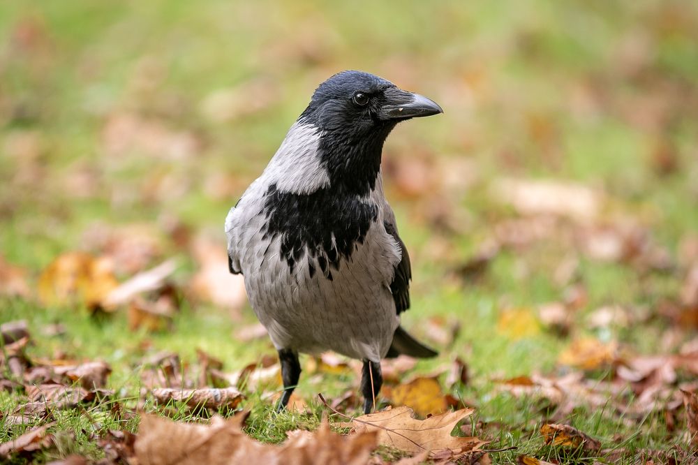 Photograph by Анастасия Петрова