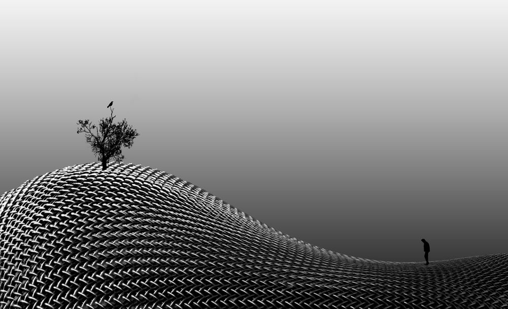 Photograph by hassan yazdi zeynab