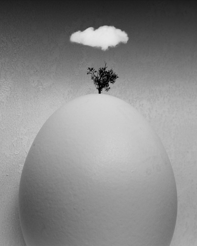 Photograph by hassan yazdi zeynab