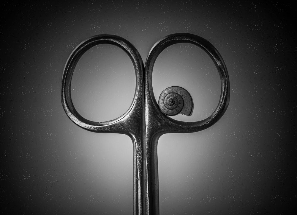 Photograph by hassan yazdi zeynab